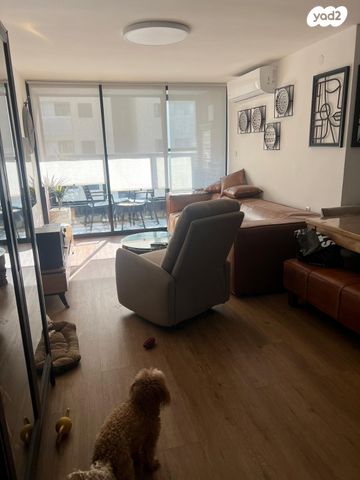 מעפילי אגוז 56