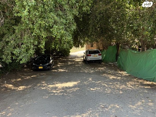 משק חקלאי/ נחלה, בית עריף