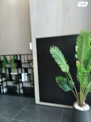 דירה, משה לוי, נאות שמיר, רמלה