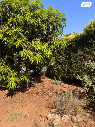 גג/ פנטהאוז, הותיקה, קרית אונו