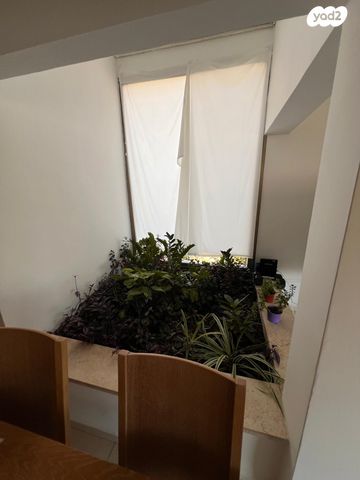 דופלקס, הותיקה, קרית אונו