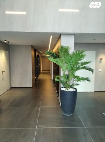 דירה, משה לוי, נאות שמיר, רמלה