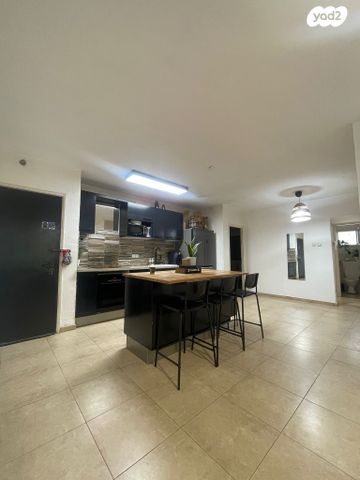 פנחס לבון 20