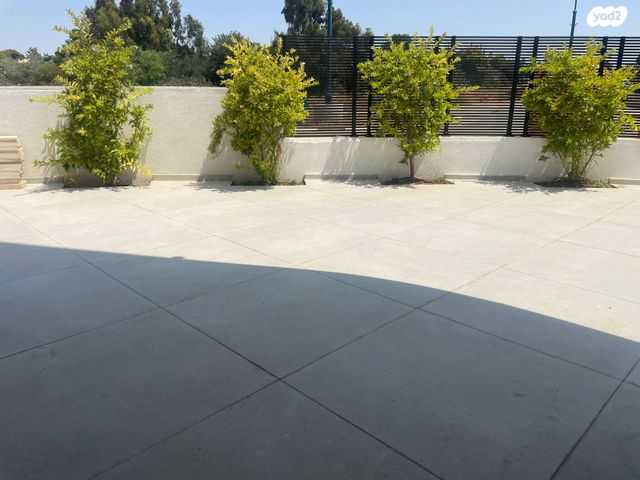 יער האילנות 