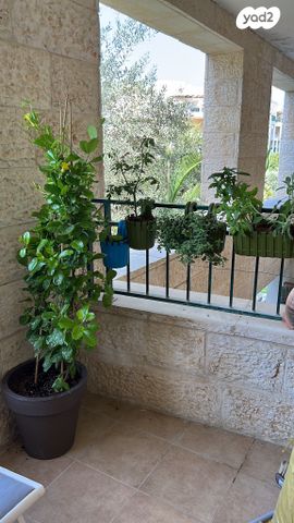 דירה, תכלת, אבני חן, מודיעין מכבים רעות