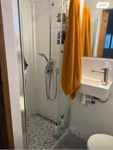 גג/ פנטהאוז, בן ציון דינור, הרצליה הירוקה, נווה עובד, הרצליה