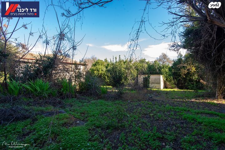 בית פרטי/ קוטג', טבעון הוותיקה, קרית טבעון