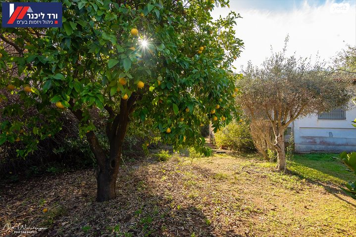 בית פרטי/ קוטג', טבעון הוותיקה, קרית טבעון