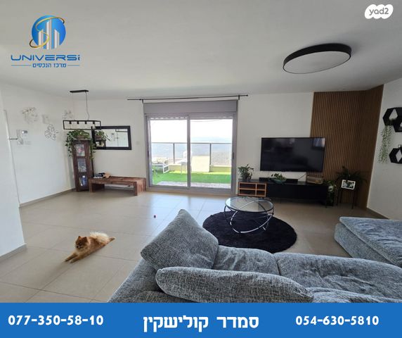 גג/ פנטהאוז, אביב, כרמיאל