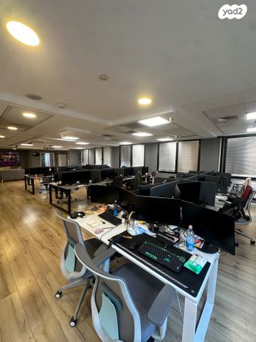 מוזס יהודה ונח 