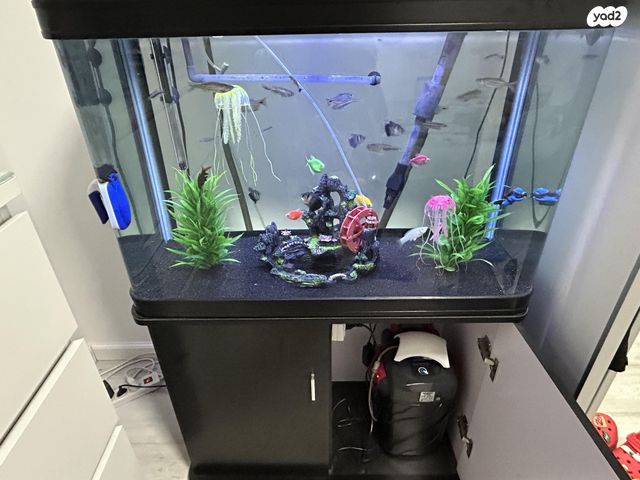 אביזרים | אקווריום