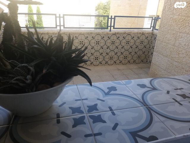 דירת גן, שלמה 23, פסגת זאב, ירושלים