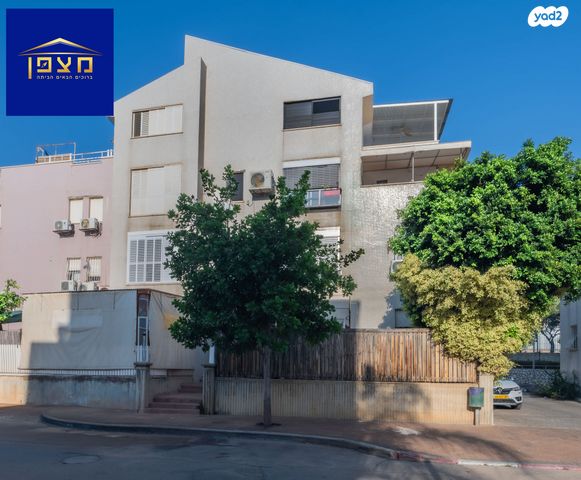 אירוס הארגמן 