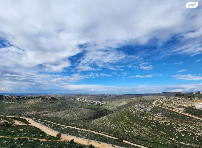 דירה, ענבר, נעלה, נעלה