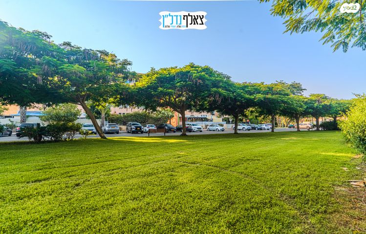 גג/ פנטהאוז, הטייסים, אפרידר, אשקלון