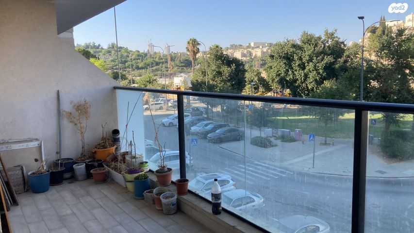 דוד צבי פנקס 