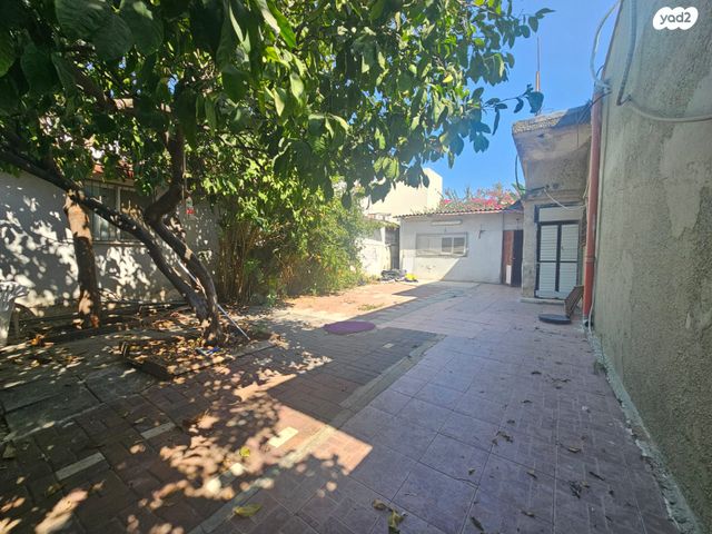 דירת גן, אהרון בן יוסף, שפרינצק, רמלה