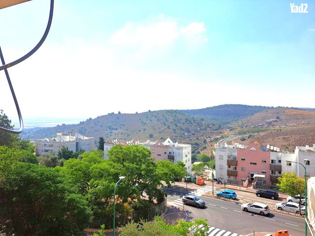 האורנים 