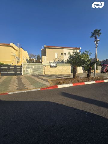 בלפור 