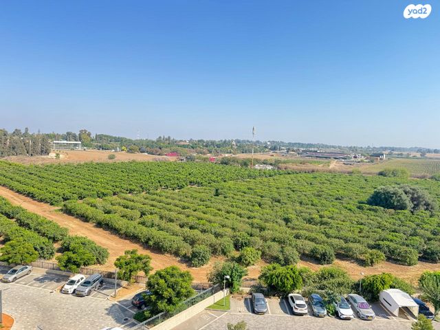 דירה, רחובות הצעירה, רחובות