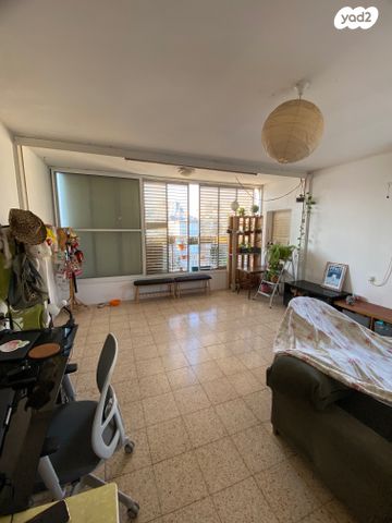 שיינקין 