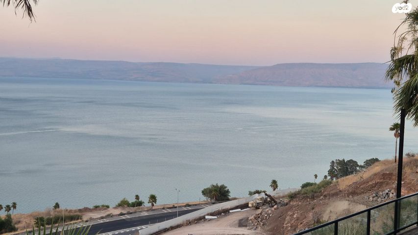 הרב ש"ך 