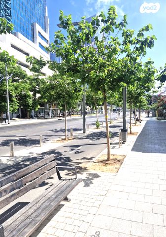 דרך מנחם בגין 