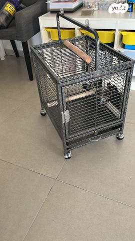 תמונת מודעה - חיות מחמד