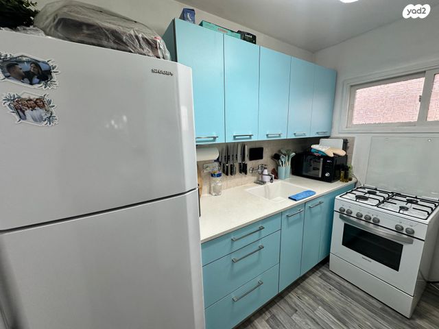 דירה, עין גדי, ג'סי כהן, חולון