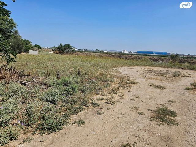 משק חקלאי/ נחלה, כפר הרי"ף