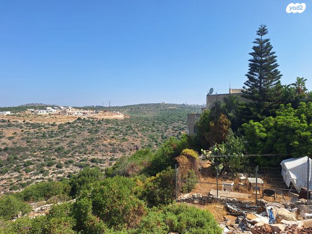 הגאון מוילנה 