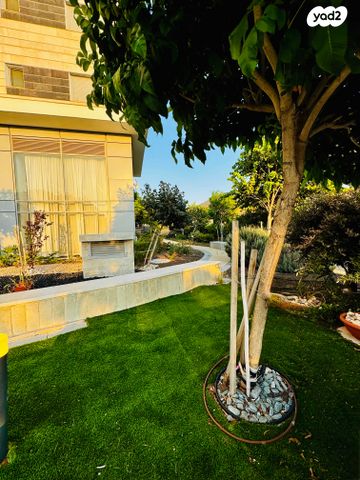 דירה, אריק איינשטיין, הכרם ג', עכו