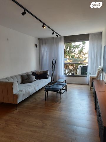 צבי הירשפלד 