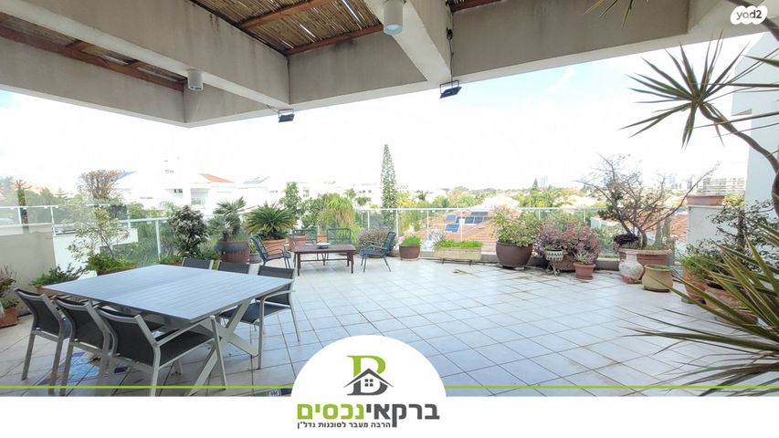 האודם 