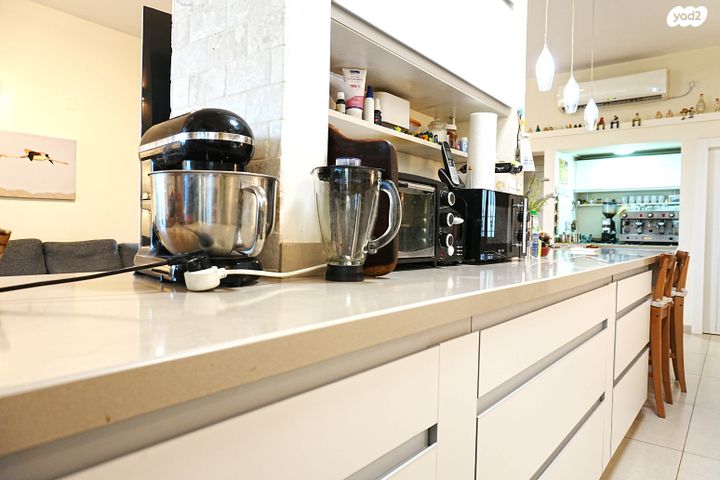 בית פרטי/ קוטג', תמרת