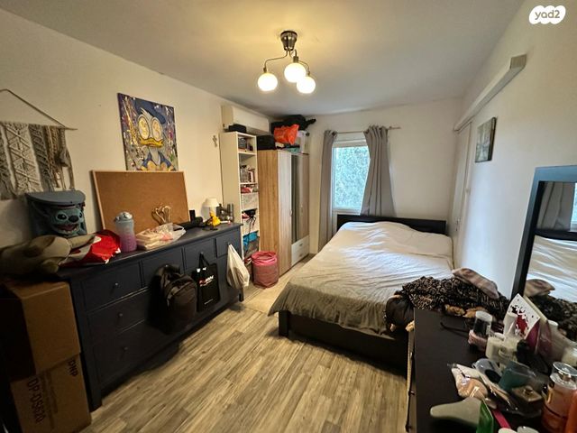 דירה, עין גדי, ג'סי כהן, חולון