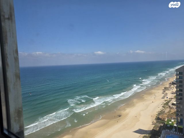 אלי לנדאו 