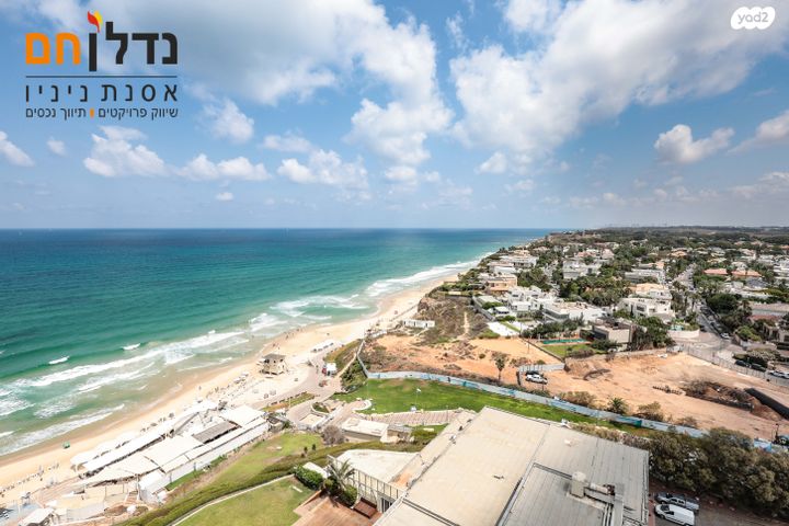 דירה, אלי לנדאו, הרצליה פיתוח, הרצליה