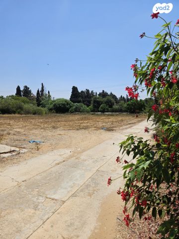 משק חקלאי/ נחלה