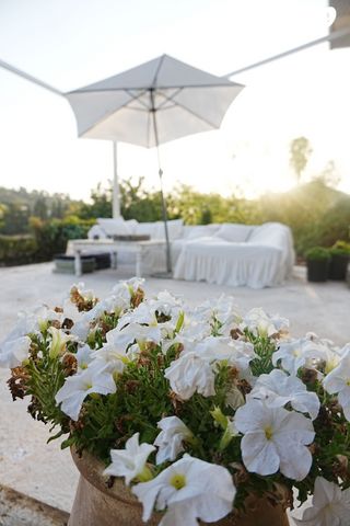 בית פרטי/ קוטג', ציפורי