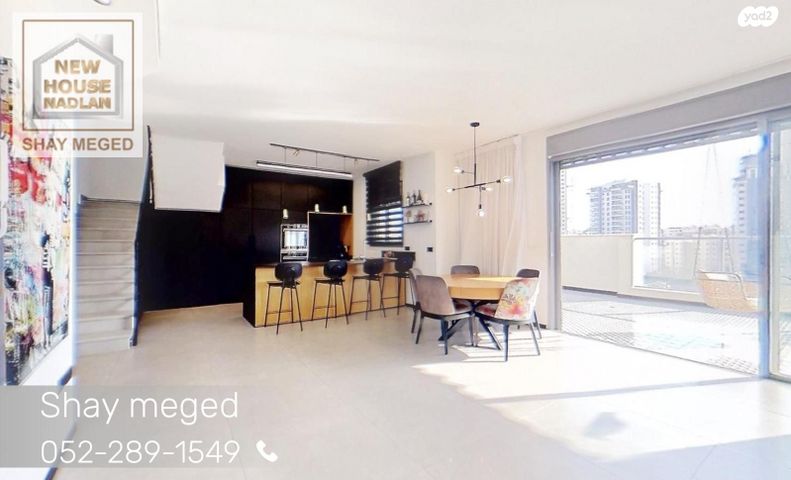 גג/ פנטהאוז, לודיוב, נווה גן, פתח תקווה