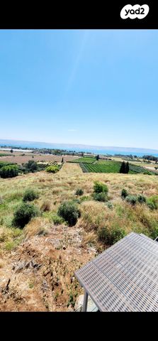 מגרשים, מגדל