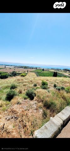 מגרשים, מגדל