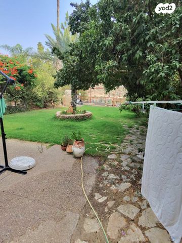 דו משפחתי, שגיא, אלפי מנשה