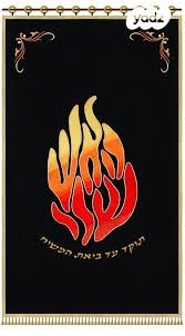 בית פרטי/ קוטג', פולג, נווה אפק, ראש העין