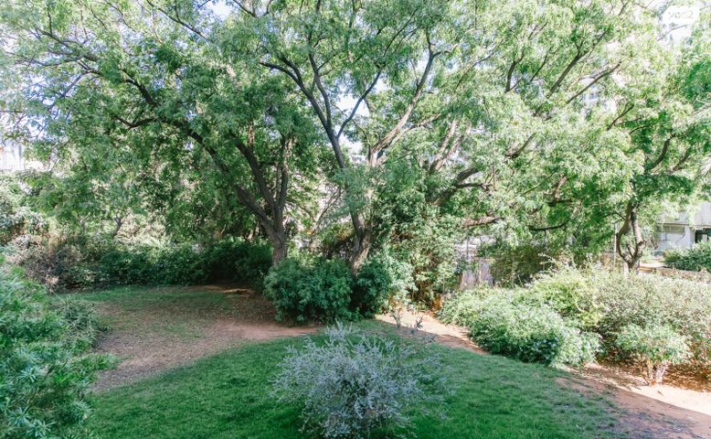 דירה, תל אביב יפו