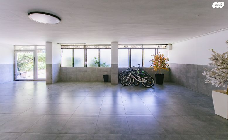 דירה, תל אביב יפו