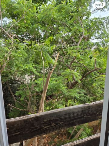 גג/ פנטהאוז, צה"ל, גני צהלה, רמות צהלה, תל אביב יפו