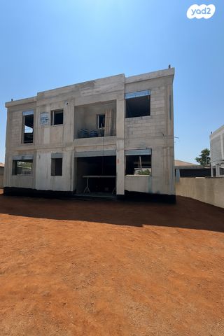 אלכסנדרוני 