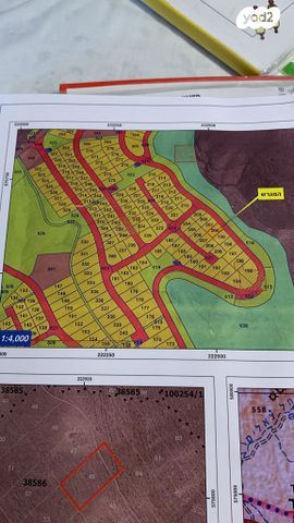 מגרשים, ערד